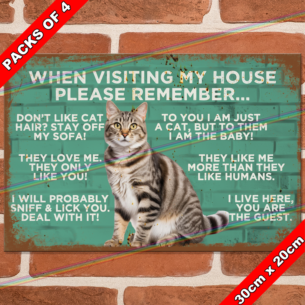 WHEN VISITING MY HOUSE (CAT) 30cm x 20cm METAL SIGNS