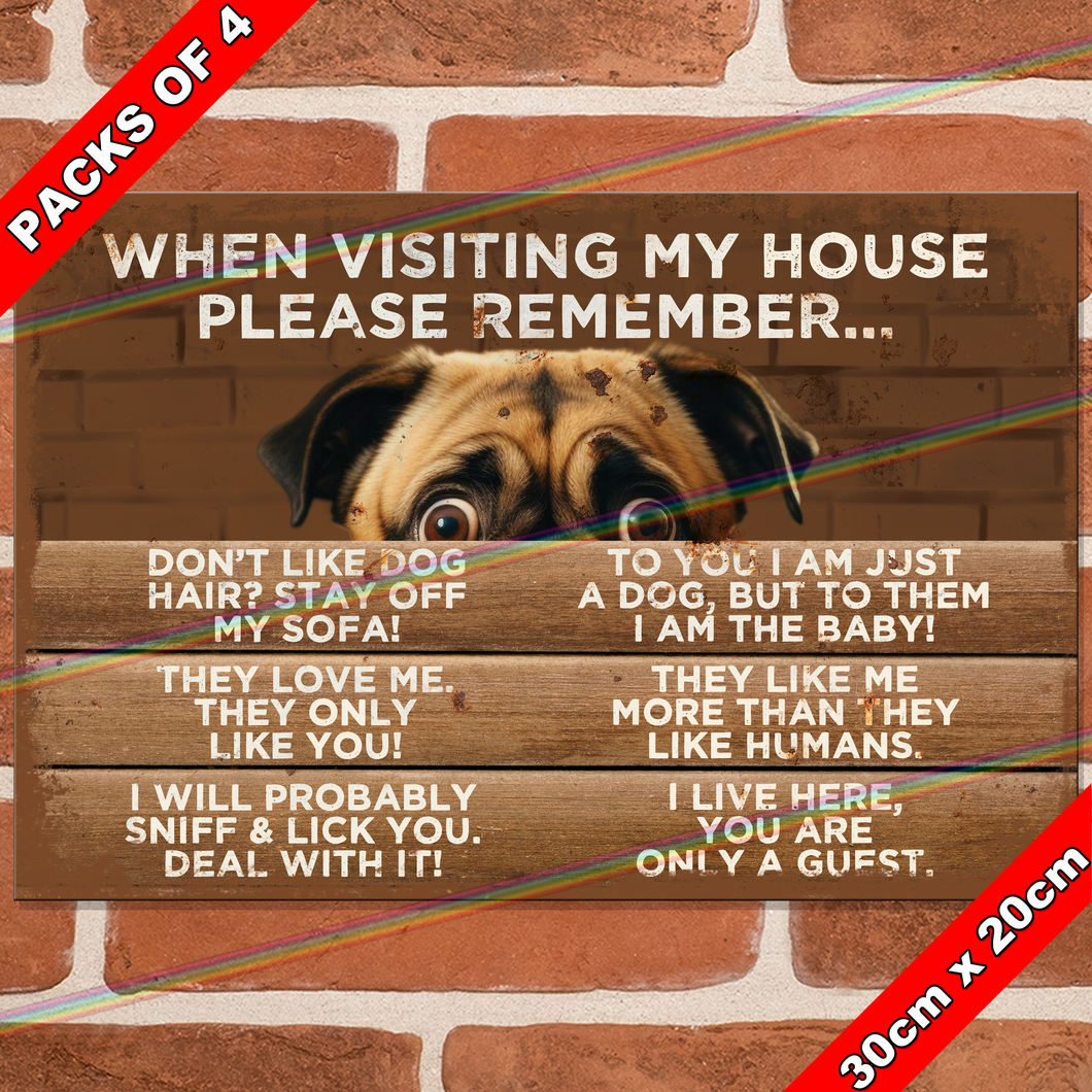 WHEN VISITING MY HOUSE (DOG) 30cm x 20cm METAL SIGNS