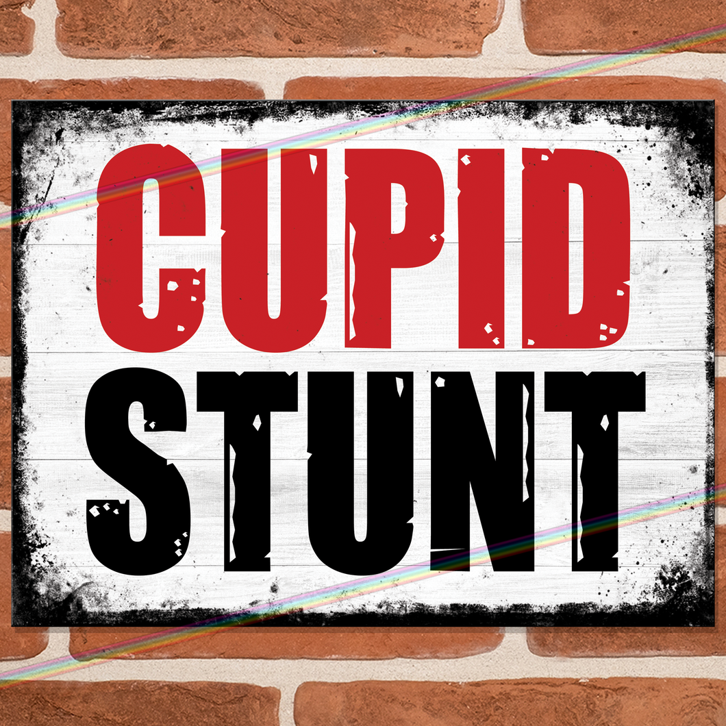 CUPID STUNT METAL SIGNS